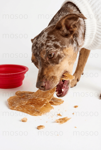 Chicken Jerky