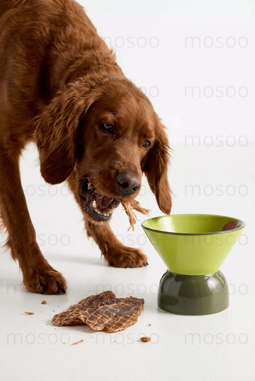 Duck Jerky
