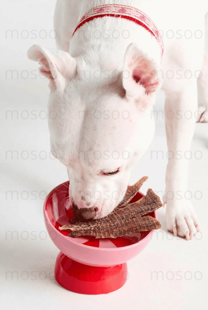 Pork Jerky