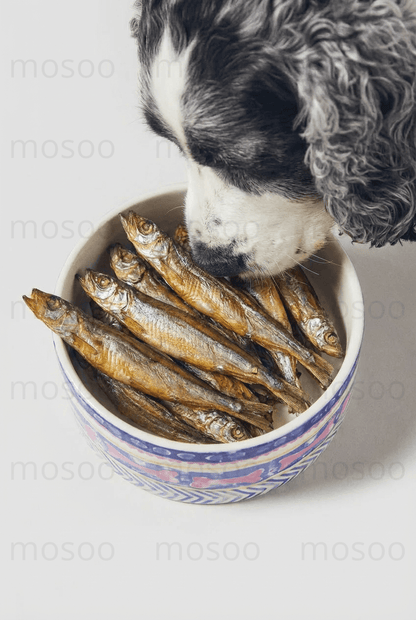 Shishamo