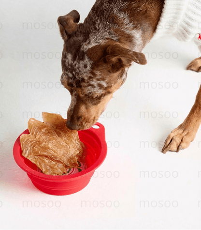 Chicken Jerky