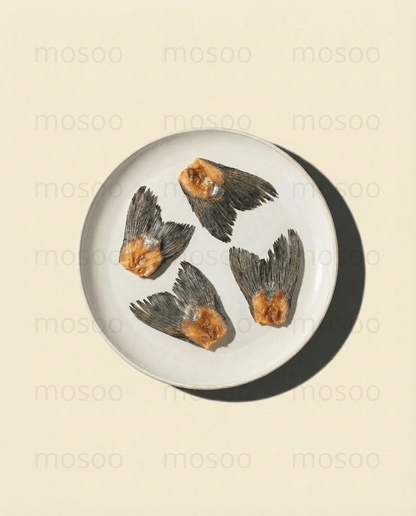 Salmon Fin