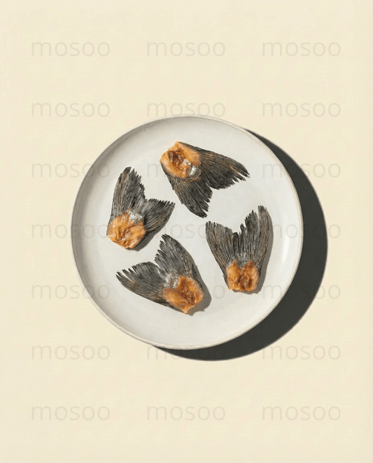 Salmon Fin